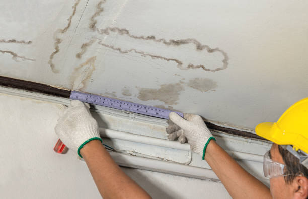 Reliable Mold Remediation contractor in Iselin, NJ by Water Damage Irwin